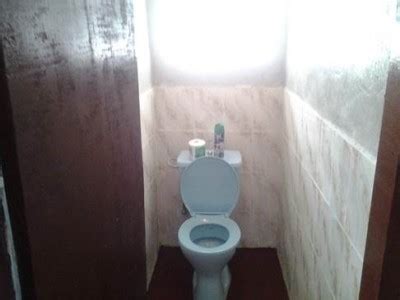 new toilet